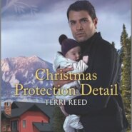 REVIEW: Christmas Protection Detail by Terri Reed