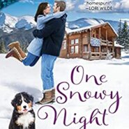 REVIEW: One Snowy Night by Patience Griffin