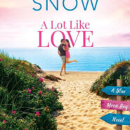 Spotlight & Giveaway: A Lot Like Love by Jennifer Snow