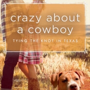 REVIEW: Crazy About a Cowboy by Dylann Crush