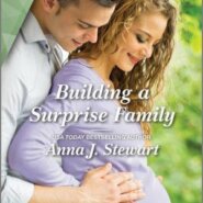 Spotlight & Giveaway: Building a Surprise Family by Anna J Stewart