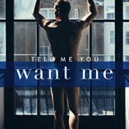 REVIEW: Tell Me You Want Me by Willow Winters