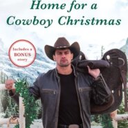 REVIEW: Home for a Cowboy Christmas by Donna Grant