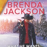 REVIEW: What He Wants for Christmas by Brenda Jackson
