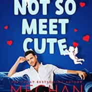 REVIEW: A Not So Meet Cute by Meghan Quinn