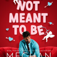 REVIEW: So Not Meant To Be by Meghan Quinn