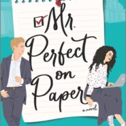 REVIEW: Mr. Perfect on Paper by Jean Meltzer