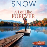 Spotlight & Giveaway: A Lot Like Forever by Jennifer Snow