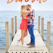 REVIEW: Dare Me by Samantha Chase