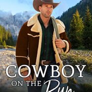 Spotlight & Giveaway: Cowboy on the Run by Anne McAllister