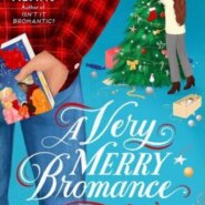 REVIEW: A Very Merry Bromance by Lyssa Kay Adams