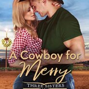 Spotlight & Giveaway: A Cowboy for Merry by Jamie K. Schmidt
