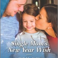 REVIEW: Single Mom’s New Year Wish by Sue MacKay