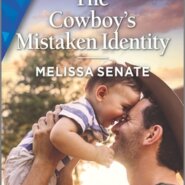 REVIEW: The Cowboy’s Mistaken Identity by Melissa Senate