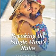 REVIEW: Breaking the Single Mom’s Rules by J.C. Harroway