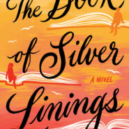 REVIEW: The Book of  Silver Linings by Nan Fischer