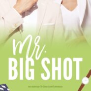REVIEW: Mr. Big Shot by R.S. Grey