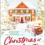 REVIEW: Christmas at the Shelter Inn by RaeAnne Thayne