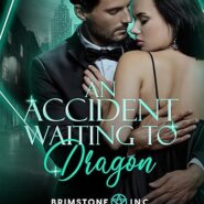 Spotlight & Giveaway: An Accident Waiting to Dragon by Abigail Owen