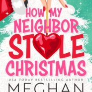 REVIEW: How My Neighbor Stole Christmas by Meghan Quinn