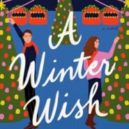 REVIEW: A Winter Wish by Emily Stone